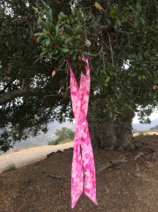 Tie a Pink Ribbon round the old oak tree.