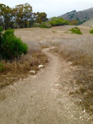 No another soul in sight.