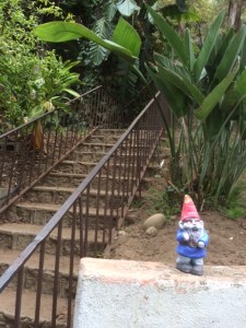 Second set -- guarded by a gnome...
