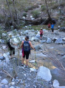 Each stream crossing required some clever stepping. 
