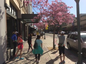 Isn't this tree amazingly beautiful.