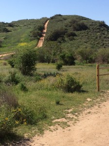 Really? Just kidding, Terri took us on the low road on our return trip.