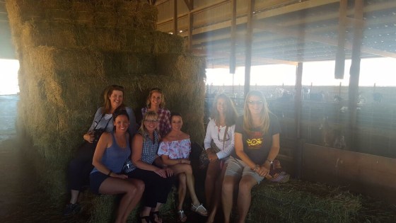 More girls in the barn
