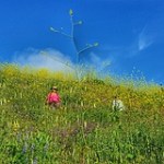 20170326_083635-01_160